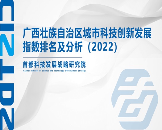 少萝白丝骚视频【成果发布】广西壮族自治区城市科技创新发展指数排名及分析（2022）